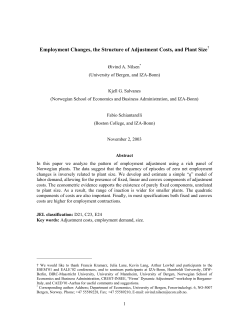 Employment Changes, the Structure of Adjustment Costs, and Plant