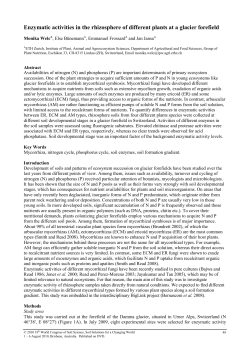 Enzymatic activities in the rhizosphere of different plants at a glacier