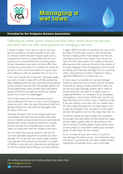 Managing a wet lawn - Turfgrass Growers Association