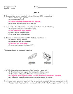 It is not a valid conclusion because after 5 hours of sunlight the