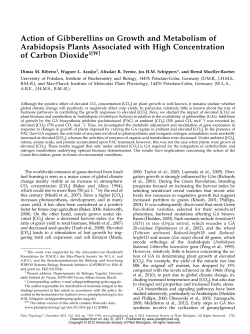 Action of Gibberellins on Growth and Metabolism