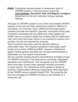 Prokaryotic immune system in eukaryotes: type I-E CRISPR