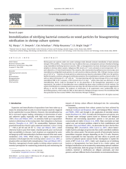 Immobilization of nitrifying bacterial consortia on wood particles for