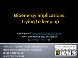 The outlook for crops (and biofuels and policy and*)