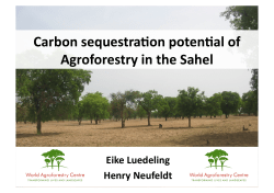 Carbon sequestraVon potenVal of Agroforestry in the Sahel
