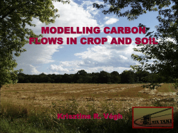 Carbon flows in the CoupModel