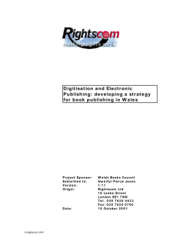 Digitisation and Electronic Publishing: developing a strategy for