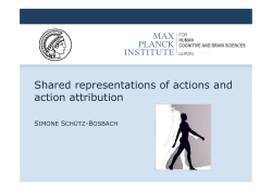 Shared representations of actions and action attribution