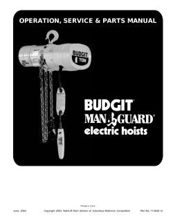 Budgit Electric Chain Hoist BEH Manual