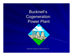 Bucknell`s Cogeneration Power Plant