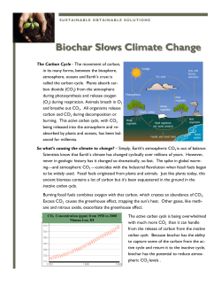 Biochar Slows Climate Change - Sustainable Obtainable Solutions