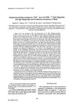 Heligmosomoides polygyrus: CD4+ but not CD8+ T cells regulate