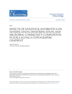 effects of livestock antibiotics on nitrification