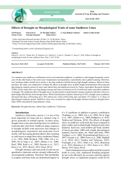 Effects of Drought on Morphological Traits of some Sunflower Lines