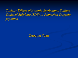 Toxicity Effects of Anionic Surfactants Sodium Dodecyl