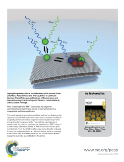 Exploring homo-FRET to quantify the oligomer stoichiometry of