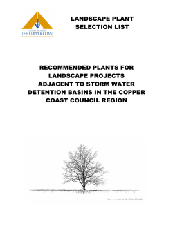 landscape plant selection list recommended plants for landscape