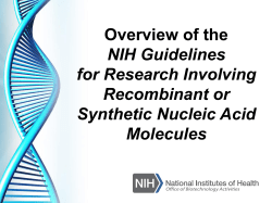 1. Overview of the NIH Guidelines