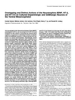 Overlapping and Distinct Actions of the Neurotrophins BDNF, NT