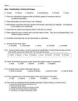 Practice Quiz - Spring Branch ISD