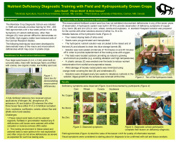 Nutrient deficiency diagnostic training with field and hydroponically