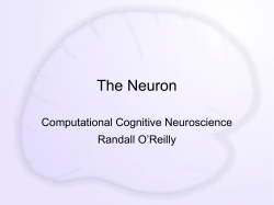 oreilly_ccn_neuron