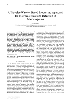 A Wavelet-Wavelet Based Processing Approach for