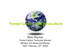 Forest Carbon and Silviculture - Coastal Silviculture Committee