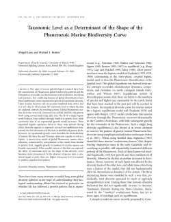 Taxonomic Level as a Determinant of the Shape of the Phanerozoic