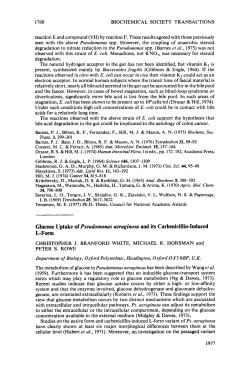 Glucose Uptake of Pseudomonas aeruginosa and its Carbenicillin