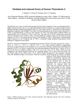 Oxidized and reduced forms of Human Thioredoxin 2