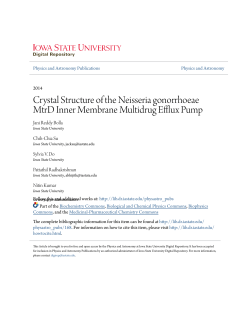 Crystal Structure of the Neisseria gonorrhoeae MtrD Inner