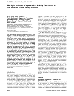 The light subunit of system bo,+ is fully functional in the absence of