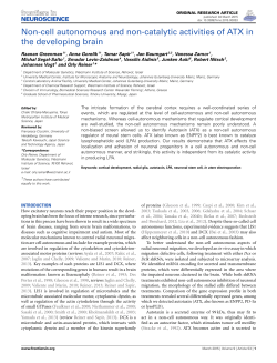 Non-cell autonomous and non-catalytic activities of ATX in the