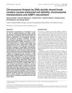 Chromosome thripsis by DNA double strand break clusters causes