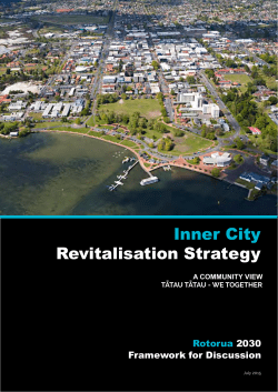 Inner City Revitalisation Strategy