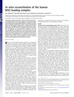 In vitro reconstitution of the human RISC