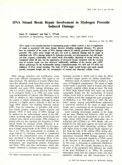 DNA Strand Break Repair Involvement in Hydrogen Peroxide