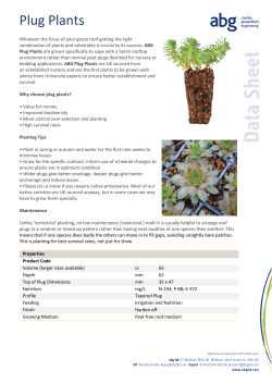 Green Roof Plug Plants