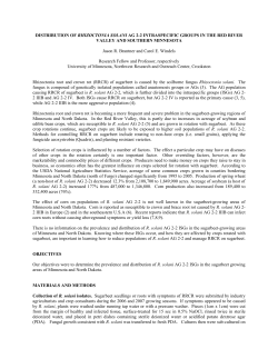 distribution of rhizoctonia solani ag 2