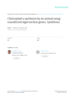 Chlorophyll a synthesis by an animal using transferred algal nuclear