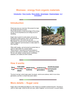 Biomass - energy from organic materials