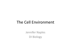 The Cell Environment