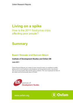 Living on a Spike: How is the 2011 food price