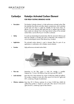 Carbodyn Katadyn Activated Carbon Element - Nothnagel