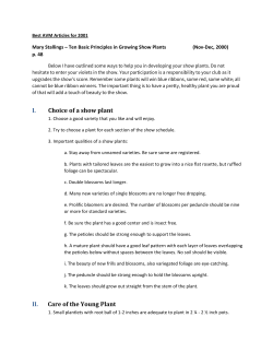 Ten Basic Principles in Growing Show Plants by Mary Stallings Nov