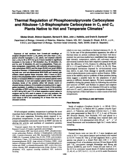 and Ribulose-1,5-Bisphosphate Carboxylase in C3 and C4 Plants