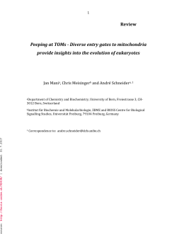 Review Peeping at TOMs - Diverse entry gates to