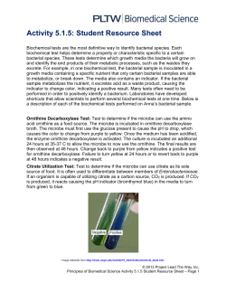 Activity 5.1.5: Student Resource Sheet