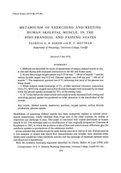 Metabolism of Exercising and Resting Human